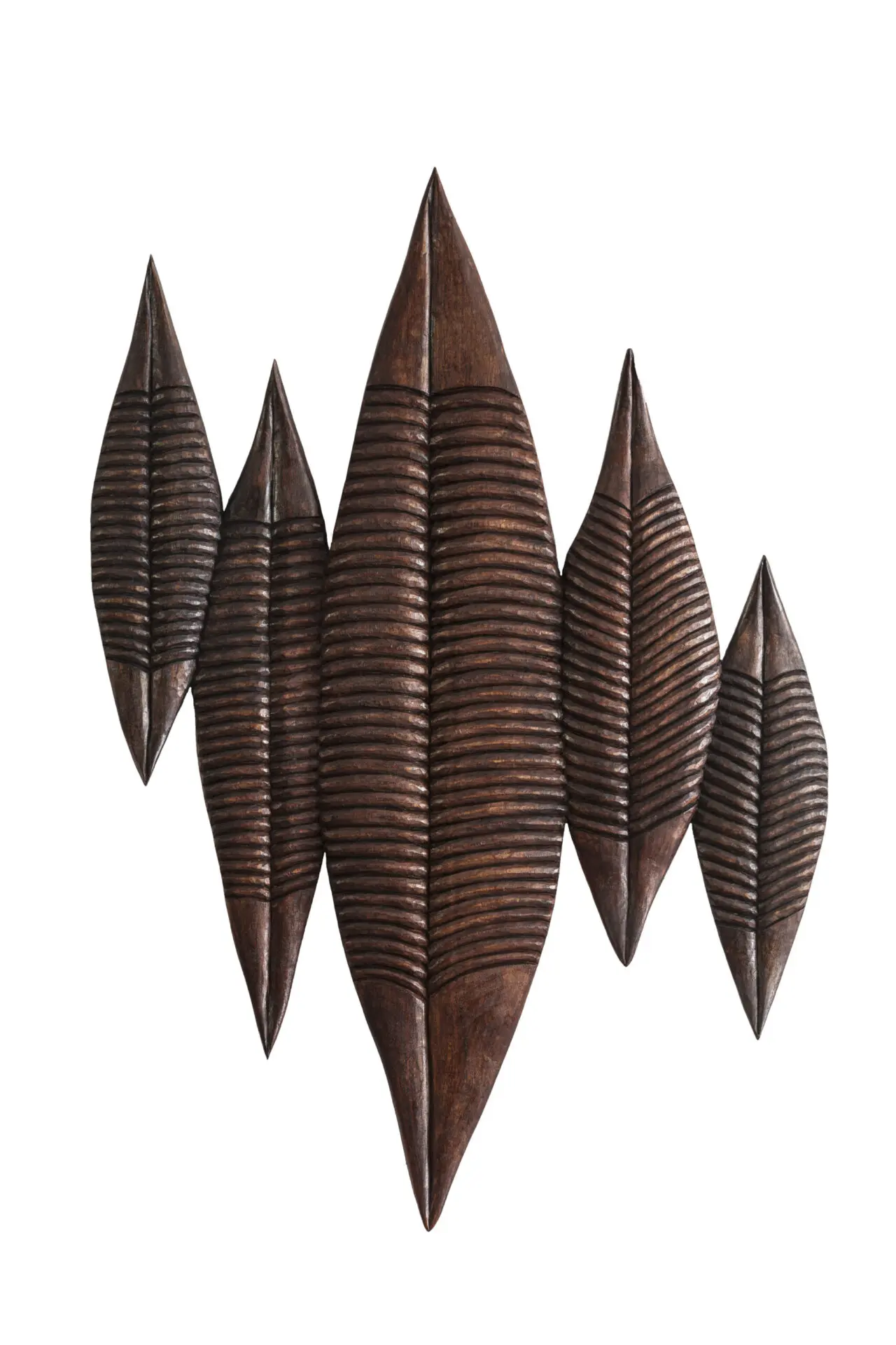 Amazonie (Aulne, 78 x 55)