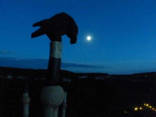 installation totems "Une nuit sur terre"